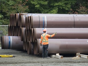 Pipeline pipes are seen at a Trans Mountain facility near Hope, B.C., Aug. 22, 2019. (THE CANADIAN PRESS/Jonathan Hayward)