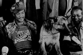 George Foreman mit seinem belgischen Schäferhund.  Die Menschen in Zaire waren nicht glücklich.  GETTY IMAGES