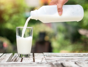 Milch. Dateien