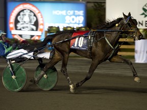 Ramona Hill, driven by Andrew McCarthy, heads for the finish of the Breeders Crown Two-Year-Old Filly Trot at Woodbine Mohawk Park on Friday night. The race was one of four championships contested. (MICHAEL BURNS PHOTO)