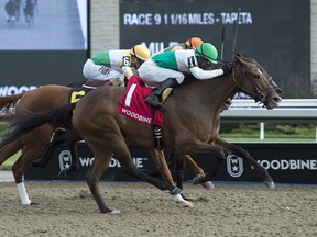 Lift Up will join the proceedings at the Maple Leaf Stakes at Woodbine this weekend. (Michael Burns photo)