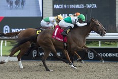 Lift Up will join the proceedings at the Maple Leaf Stakes at Woodbine this weekend. (Michael Burns photo)