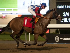 Monastery Lane joins the action at Mohawk this weekend.  (Michael Burns photo)