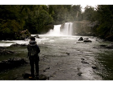 Various waterfalls can be seen while hiking through the rainforest in the Puyehue National Park in Chile on Saturday September 7, 2019. Veronica Henri/Toronto Sun/Postmedia Network