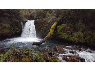 Various waterfalls can be seen while hiking through the rainforest in the Puyehue National Park in Chile on Saturday September 7, 2019. Veronica Henri/Toronto Sun/Postmedia Network