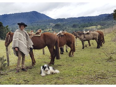 Horseback riding in Chile on Saturday September 7, 2019. Veronica Henri/Toronto Sun/Postmedia Network