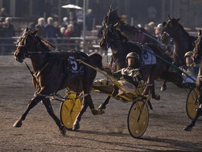 Warrawee Ubeaut with driver Yannick Gingras captured the Three-Year-Old Filly Pace at Woodbine Mohawk Park last night. (Michael Burns photo)