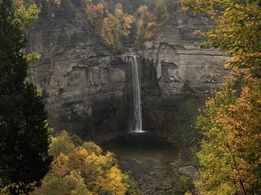 Ithaca offers a litany of natural delights, including the Taughannock Falls. They are taller than Niagara!