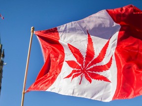 In this file photo taken on April 20, 2016, a woman waves a flag with a marijuana leaf on it next to a group gathered to celebrate National Marijuana Day on Parliament Hill. (AFP Photo)