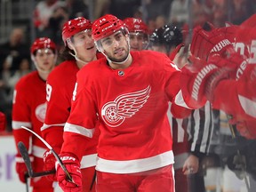 Red Wings' Robby Fabbri celebrates with teammates after scoring in the first period against the Boston Bruins at Little Caesars Arena on Friday, Nov. 8, 2019. Rick Osentoski/USA TODAY Sports