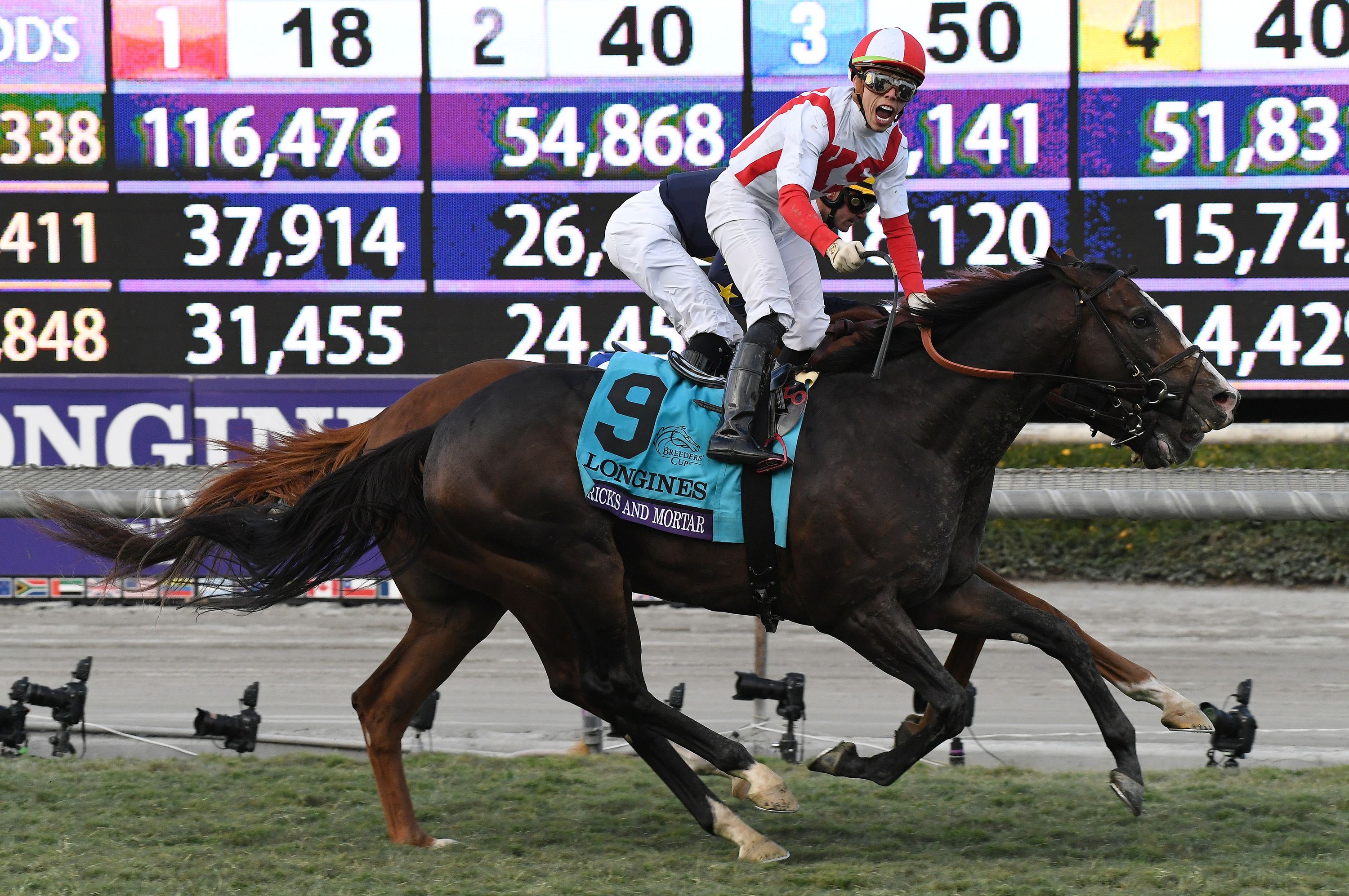 Bricks and Mortar wins 4 million Breeders Cup Turf Toronto Sun