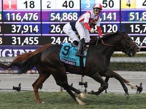 Irad Ortiz Jr. aboard Bricks and Mortar (9) races to victory in the  Breeders’ Cup Turf at Santa Anita Park on Saturday. (Richard Mackson/USA TODAY Sports)