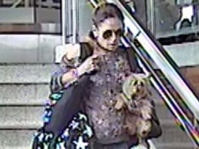 Supplied photo of a person of interest in the case of Charlie, a 3-year-old Yorkshire Terrier, was reportedly stolen from a Kipling Station women's bathroom on October 27.