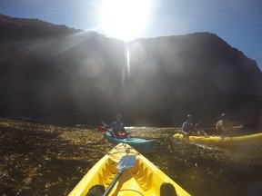A tour guide leads a group of kayakers through a kelp forest at Scorpion Anchorage on Santa Cruz Island, part of Channel Islands National Park. (IAN SHANTZ/TORONTO SUN)