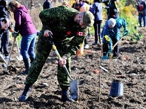 Efforts are underway to expand tree planting efforts along the Highway to Heroes. (Supplied photo)