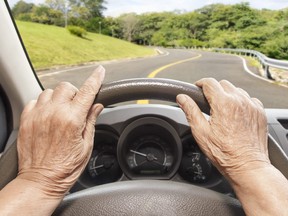 A driver on the open road.