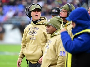 Baltimore Ravens head coach John Harbaugh (left) looks on from the sidelines in the fourth quarter against the Houston Texans at M&T Bank Stadium, Nov. 17, 2019. (Evan Habeeb-USA TODAY Sports)