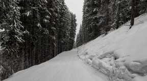 Looking down a narrow tree-lined run at Panorama Mountain Resort in British Columbia. Ernest Doroszuk/Toronto Sun