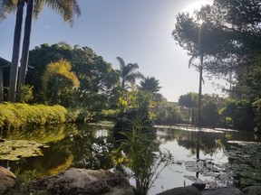The Ramada Santa Barbara is located at the edge of Goleta and features a beautiful lagoon. (IAN SHANTZ/TORONTO SUN)