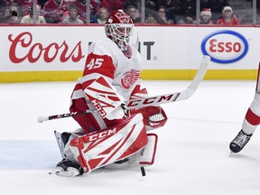 Detroit Red Wings goalie Jonathan Bernier played with the Leafs from 2013-16. (USA TODAY SPORTS)