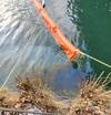 An oily sheen seen leaking past a containment boom in Toronto’s outer harbour last week