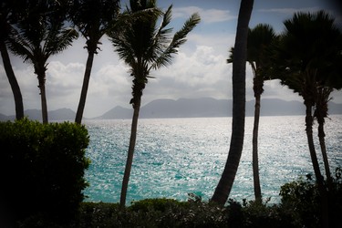 Palm trees sway at the Belmond Cap Juluca Resort in Anguilla
