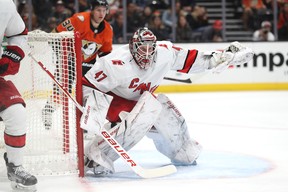 James Reimer of the Carolina Hurricanes. (Photo by Sean M. Haffey/Getty Images)