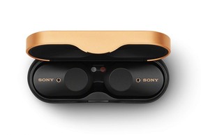 Sony In-Ear Wireless Headphones