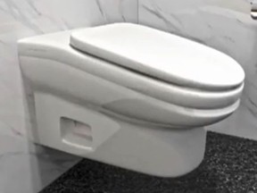 The StandardToilet has a throne with a 13-degree slant that will prevent people from taking long bathroom breaks. (StandardToilet)