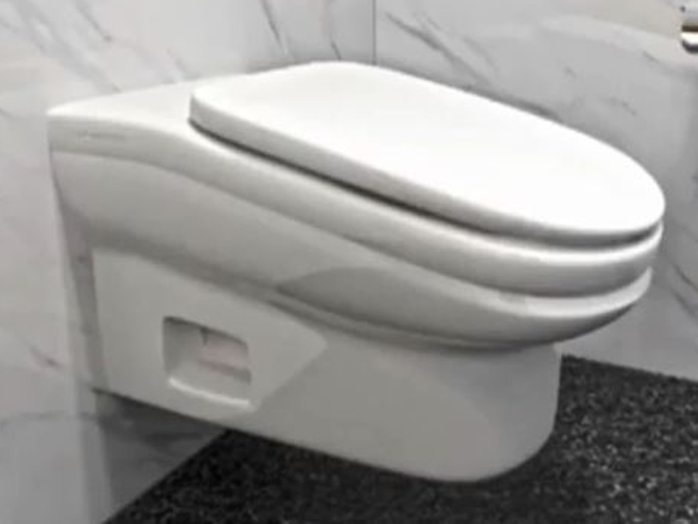 ODDS AND ENDS Tilted toilets and other offbeat offerings Toronto Sun