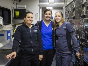 (From left) Leanne Pancer, Alannah Thompson -- both registered veterinary techinicians -- and Johanna Booth, veterinarian, inside the SNYP on Jan. 13, 2020. (Ernest Doroszuk, Toronto Sun)