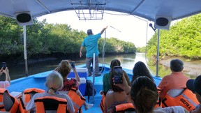 King David guide Hugo Sanchez tries to call birds to the boat as we glide through the mangrove swamps outside Mazatlan.