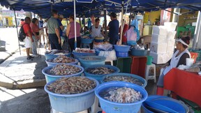 Visit the “shrimp ladies” to pick up some fresh seafood at bargain basement prices.