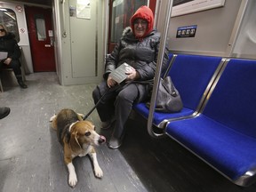 Carol and her dog Bowser riding the Bloor-Danforth TTC subway line (Jack Boland/Toronto Sun/Postmedia Network)