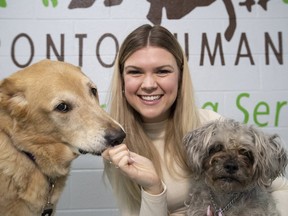 Toronto Humane Society Public Relations Specialist Hannah Sotropa, with adoptees Daytona & Lovely, on Friday Jan. 17, 2020. (Stan Behal/Toronto Sun/Postmedia Network)