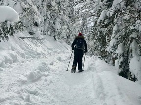 Snowshoeing in the Valley of the Phantoms of Mont-Vali National Park in the Saguenay-Lac-Saint-Jean region of Quebec is a popular winter-time activity. The area routinely receives up to six metres of snow. (PAT LEE)