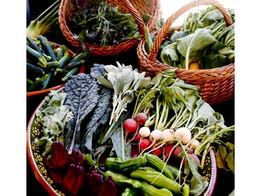 Organic vegetables at the Grand Fiesta Americana Los Cabos All Inclusive Golf & Spa in Cabo San Lucas, Mexico on Wednesday November 20, 2019. Veronica Henri/Toronto Sun/Postmedia Network