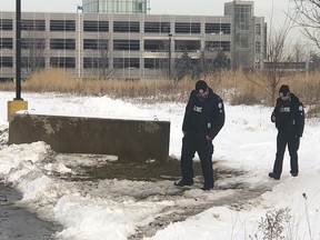Special Constables examine the scene just off a pathway leading to York University's campus where a woman, 23, was attacked and stabbed on Wednesday, Jan. 22, 2020. (Jack Boland/Toronto Sun/Postmedia Network)