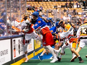 The Toronto Rock's Dan Dawson hits a member of the Buffalo Bandits into the boards during yesterday's game. 
(Ryan McCullough/Toronto Rock)