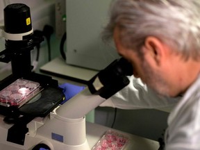 Dr. Paul McKay, who is working on an vaccine for the latest coronavirus strain,  of the novel coronavirus,is pictured at Imperial College School of Medicine (ICSM) in London on Feb. 10, 2020. (AFP via Getty Images)