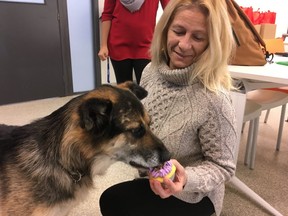 Karin Carlin and her dog, Sammi, are taking part in this year's Ontario SPCA and Humane Society National Cupcake Day to help animals in need. (Kevin Connor, Toronto Sun)