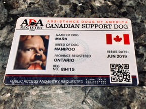 The licensing process for “emotional support animals” is so rigorous, even Editor-in-Chief of Sun News, Mark Towhey qualified as an official “support dog.”