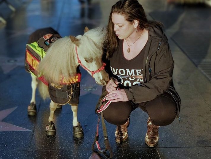 Woman takes miniature service horse on plane ride across U.S. Toronto Sun