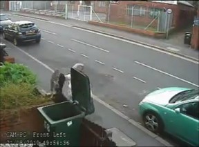 Undated YouTube video of a woman captured on CCTV throwing a kitten into a garbadge bin in Coventry, UK, a city east of Birmingham. The woman has been identified, according to the RSPCA. the cat’s owners, Stephanie and Darryl Mann say the cat was trapped in the bin for 15 hours. YouTube