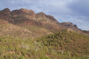 Pink rock, green trees, blue skies, and in the distance the Red Ranges, all seen on South Australia’s Arkaba Walk. (Peter Neville-Hadley/Horizon Writers’ Group)