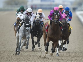 Woodbine's thoroughbred season was scheduled to start on April 18 but has been delayed. (SUN FILES)