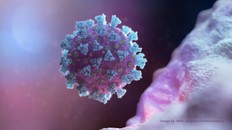 A computer image created by Nexu Science Communication together with Trinity College in Dublin, shows a model structurally representative of a betacoronavirus which is the type of virus linked to COVID-19, better known as the coronavirus linked to the Wuhan outbreak, shared with Reuters on February 18, 2020. NEXU Science Communication/via REUTERS THIS IMAGE HAS BEEN SUPPLIED BY A THIRD PARTY. MANDATORY CREDIT. ORG XMIT: UGC104