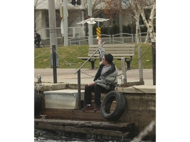 A man tries to feed a very wary seagull some bread along the front of the harbour at Queens Quay  on Saturday March 28, 2020. Jack Boland/Toronto Sun/Postmedia Network