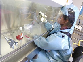 An expert works at the National Microbiology Laboratory in Winnipeg. during H1N1 flu pandemic. (Postmedia files)