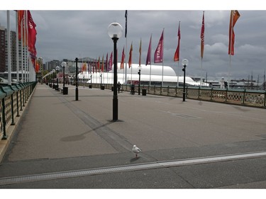 A general view of empty Pyrmont Bridge over Darling Harbour as New South Wales began shutting down non-essential businesses and moving toward harsh penalties to enforce self-isolation as the spread of coronavirus disease (COVID-19) reached a "critical stage" in Sydney, Australia, March 24, 2020.